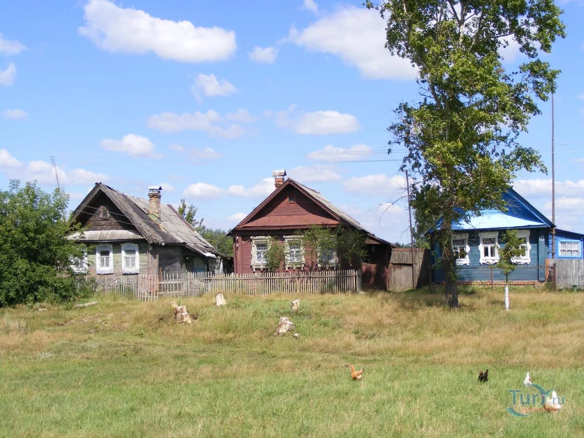 Продажа деревни в свердловской области. Деревня Понарино. Деревня Понарино фото. Лучшие деревни России для проживания. Деревня мата.