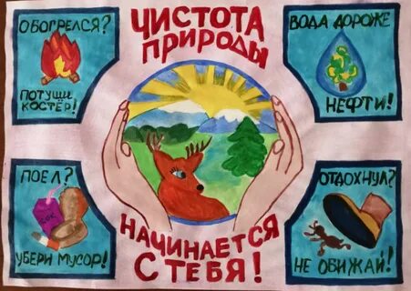 Сохраним чистоту