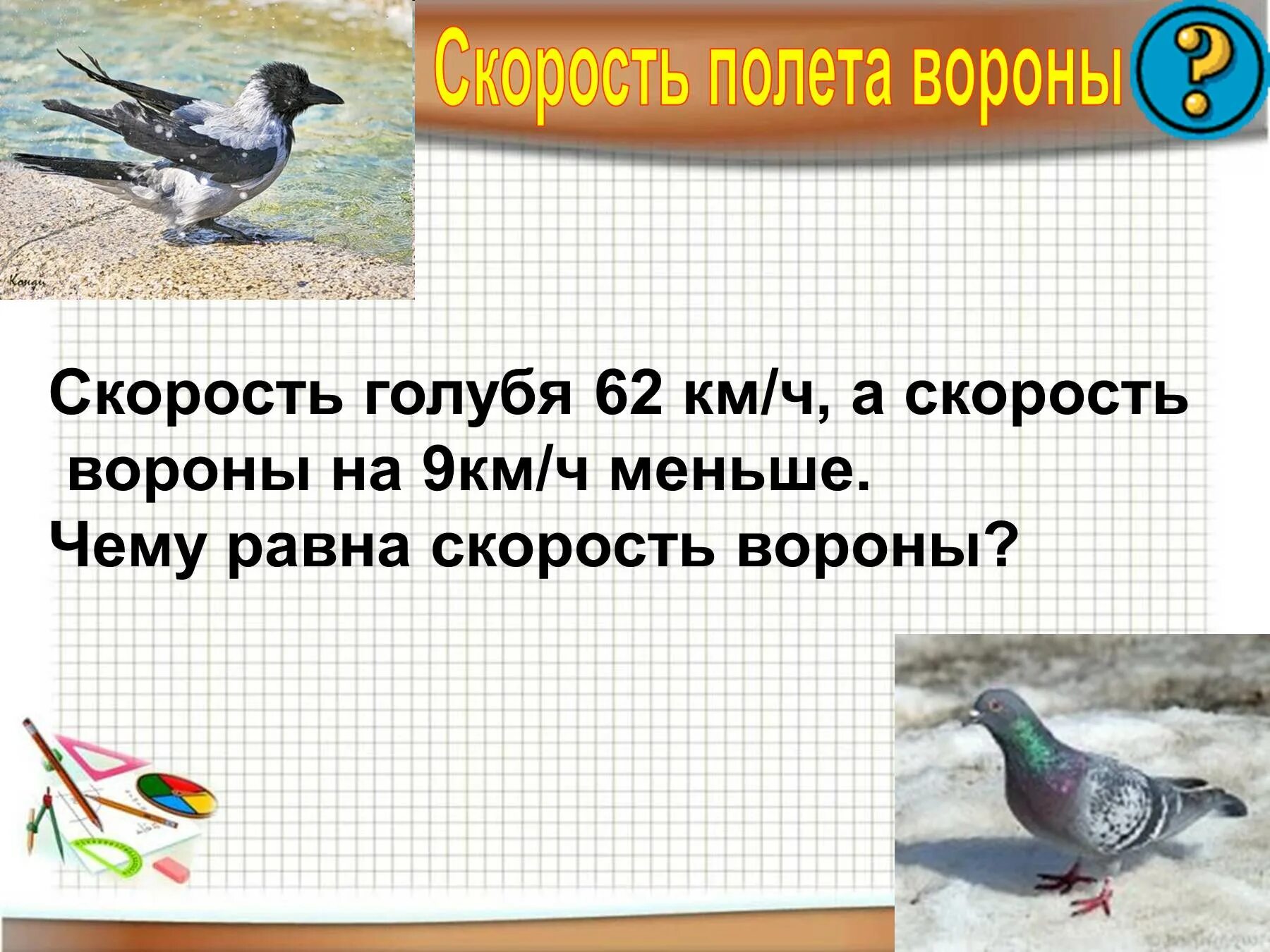 Скорость полета вороны. Средняя скорость полета вороны. Скорость голубя. Средняя скорость птицы. Скорость полета гуся