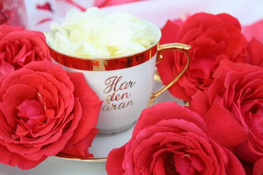 Доброе утро картинки с розами и надписями. Доброе утро розы. С добрым утром розы. Красивые розы с добрым утром. Букет роз с добрым утром.