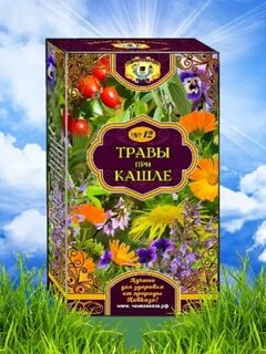 Какие травы от кашля