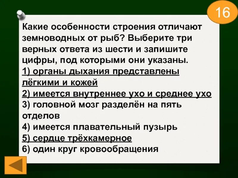 Какие особенности строения отличают земноводных рыб