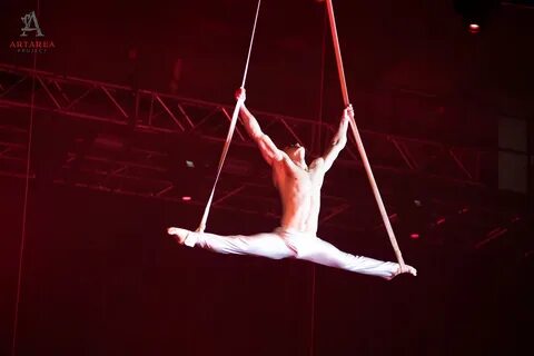 See trapeze artists