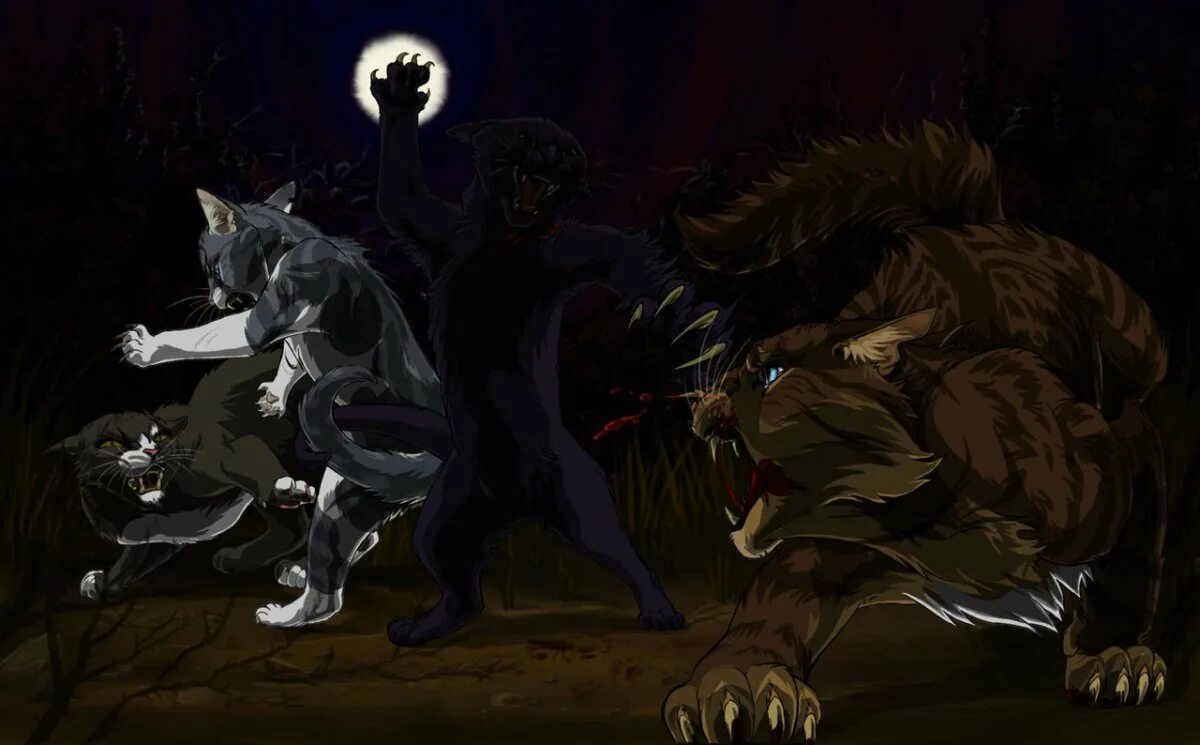 Коты воители смерть остролистой. Коты воители битвы. Коты воители битва. Коты воители битвы. Коты воители битва за лес комикс.