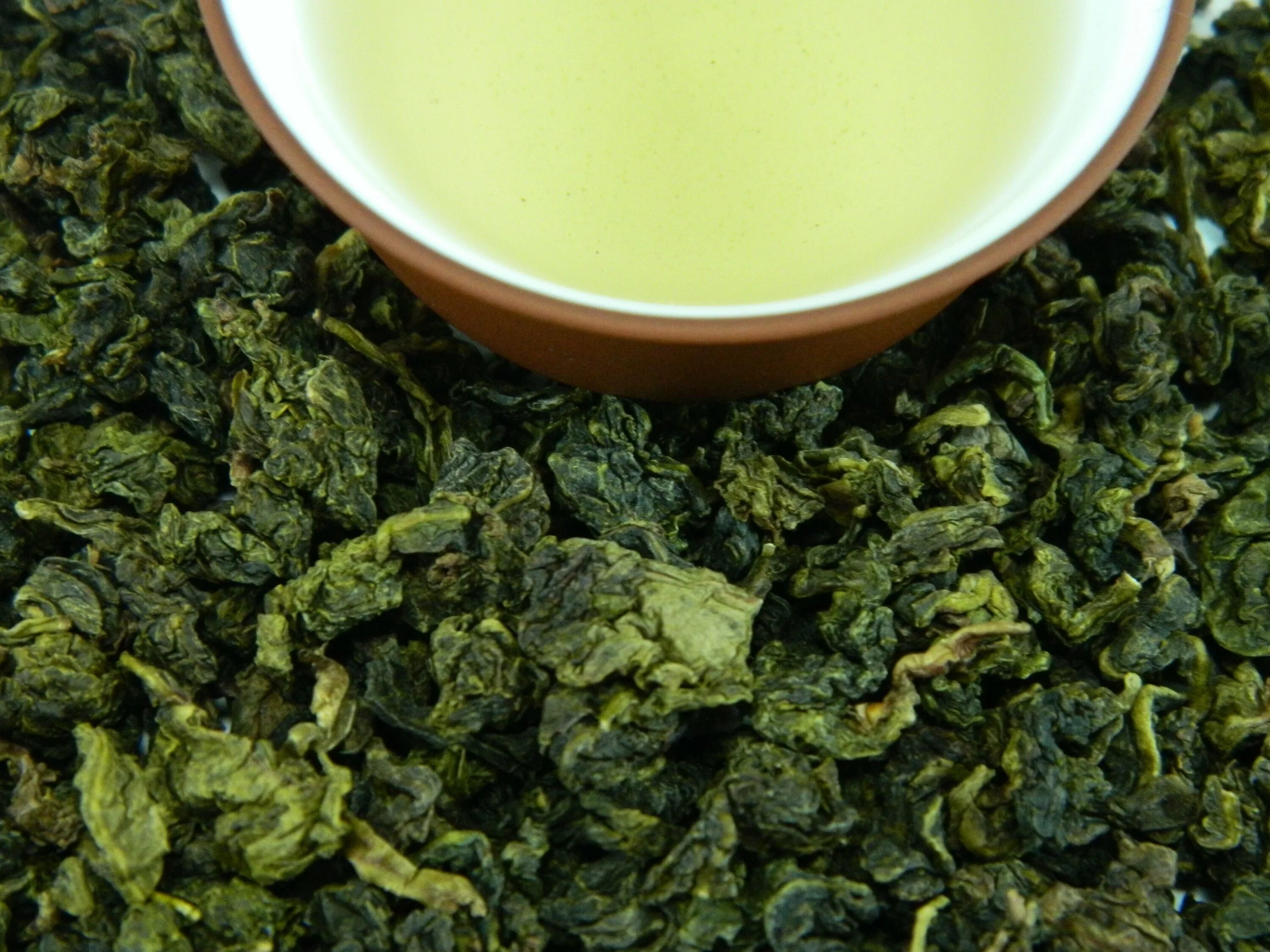 Чай молочный улун. Чай Милк улун. Зелёный чай молочный улун. Чай китайский "молочный улун".
