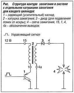 Контур структура