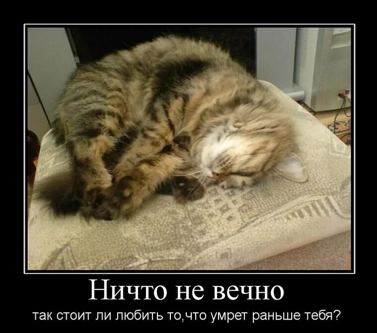 Ничем не занята