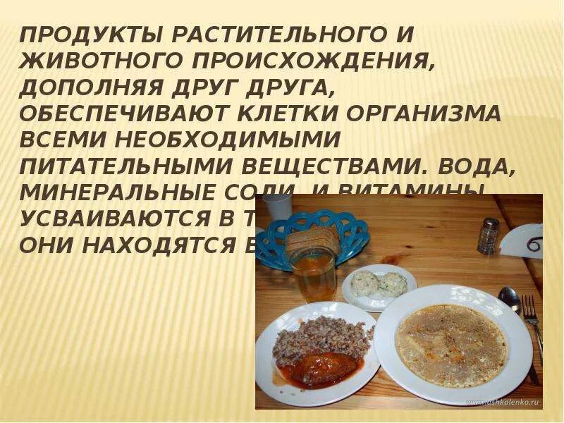 Продукты питания растительного происхождения. Перечислите продукты животного происхождения. Рациональное питание школьника. Растительные продукты питания презентация. Пища растительного происхождения.