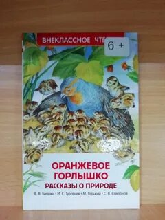 Оранжевое горлышко читать полностью