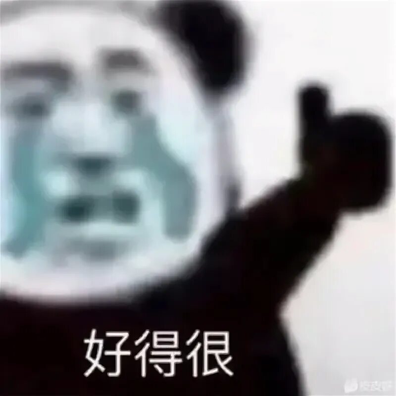 Мем панда с лицом usage Why is 尊 重 considered 不 礼 貌 in this context Chinese Language Stack Ex