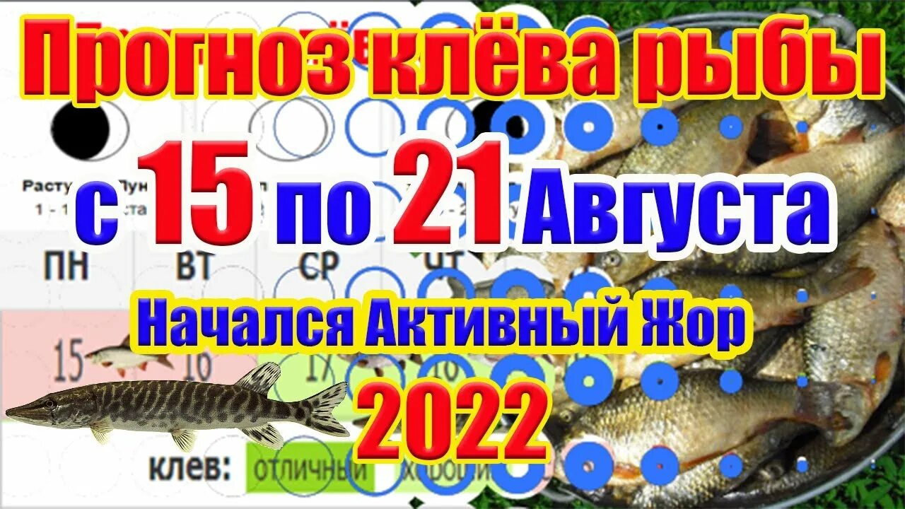 Клева оренбурге. Календарь рыболова. Лунный календарь рыбака. Лунный календарь рыболова на август. Рыболовный лунный календарь на август.