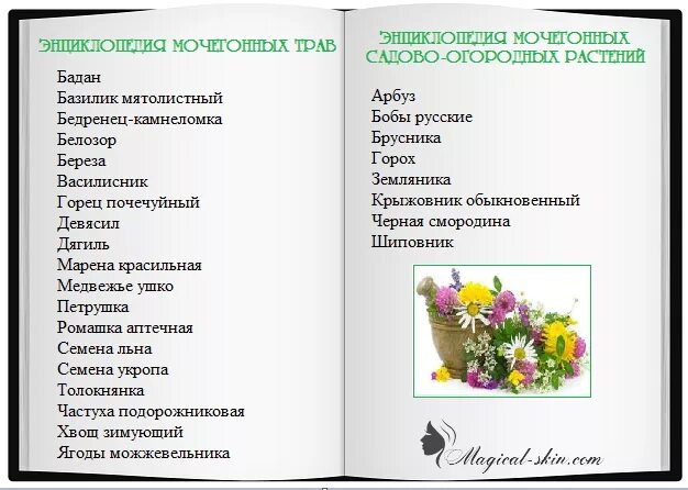 Мочегонное средство для форсированного диуреза. Мочегонный порошок. Фиточай фитомикс мочегонный. Мочегонное ли молоко. Мочегонное ли молоко.