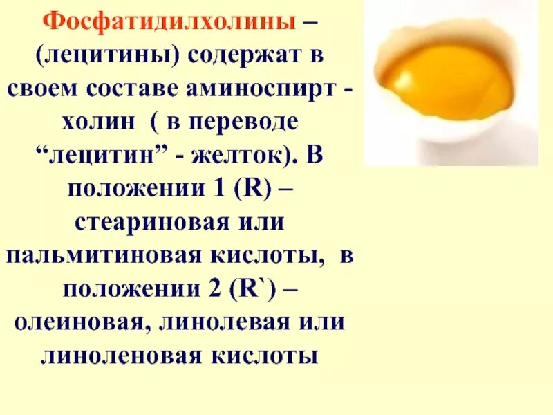 Желток прилагательное. Лецитин в желтке. Фосфатидилхолины (лецитины). Лецитин в желтке куриного яйца. Лецитин в яичном желтке.