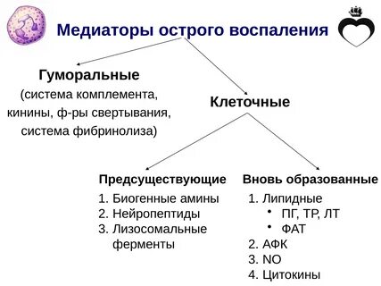 Медиаторы воспаления