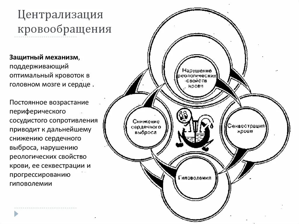 Централизация. Централизация кровообращения механизм. централизация кровообращения при шоке обусловлена выбросом. централизация кровообращения схема. механизм централизации кровообращения в стадию гипотензии.