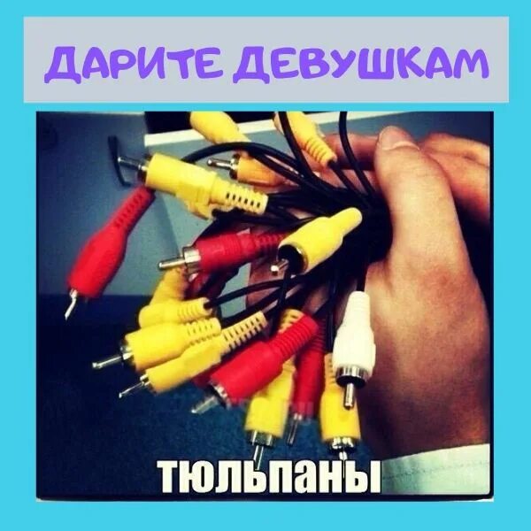 Дарите девушкам тюльпаны. Мужчина дарит букет тюльпанов. Мужчина с тюльпанами. Букет для мужчины. Женщине дарят цветы.