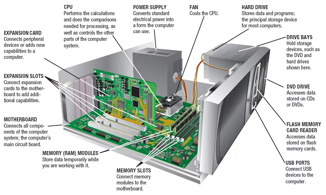 Inside the computer. System Unit Part. Expansion Cards в компьютере. CPU and main Memory. Computer Memory device кластер.