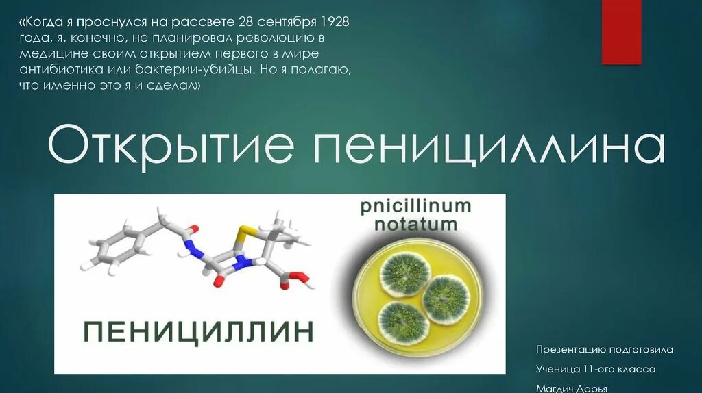 Открытие пенициллина. Первый антибиотик пенициллин. День открытия пенициллина. Пенициллин история открытия. Пенициллин отличается