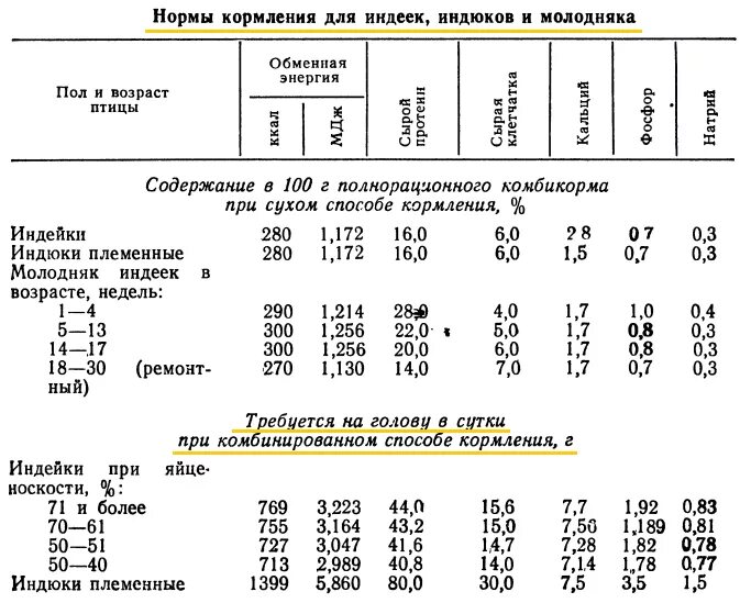 Температура в брудере для индюшат. Норма кормления индюшат таблица. Корм для индюков Биг-6 норма кормления комбикормом. Норма корма для индюков Биг 6. Нормы кормления индюшат комбикормом таблица.