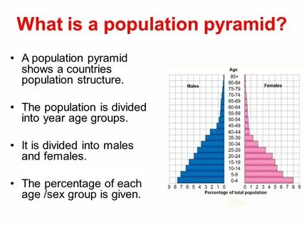 Population pyramid