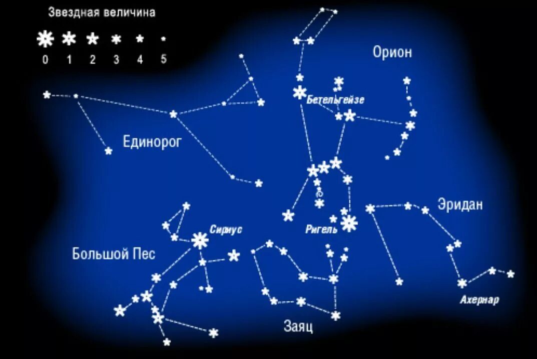 Сириус звезда какого созвездия. Созвездие стрельца на карте звездного неба. Созвездие большого пса на карте звездного неба. Орион и Сириус на карте звездного неба. Звезды созвездия Ореон.