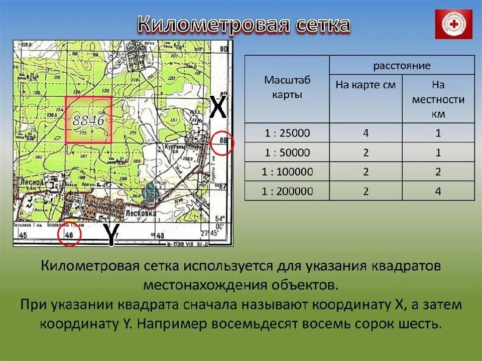 Линии сетки карты