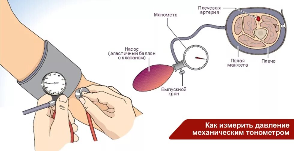 Как правильно измерить давление механическим. Метод короткова для измерения артериального давления. алгоритм измерения давления механическим тонометром. правильно измерить артериальное давление механическим тонометром. измерение артериального давления с помощью механического тонометра.