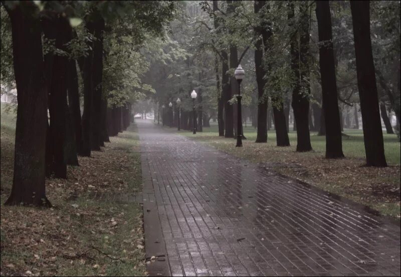 Парк дождь. Парк дождь. Rain park. Осенний дождливый парк. Дождь в сквере.
