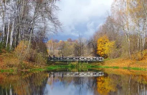 Старый тихий парк