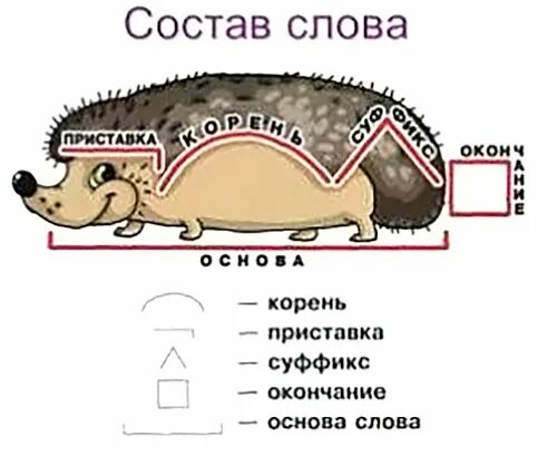 Разбор слова ежик по составу Shtampik.com