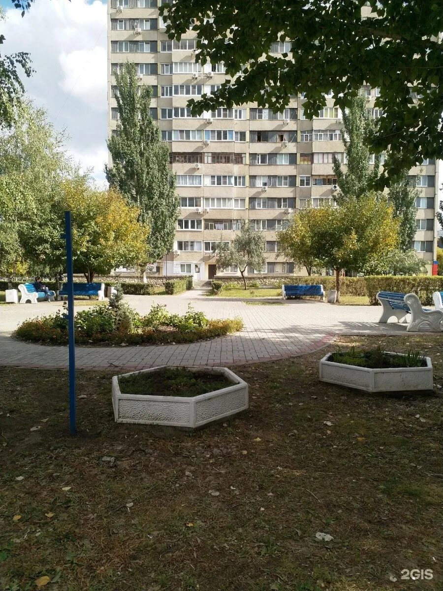 Сквер тольятти бульвар 19 в 2019 году. Бульвар космонавтов 3б тольятти. 15 квартал тольятти. Бульвар космонавтов 30 тольятти. Работа тольятти 15 квартал.