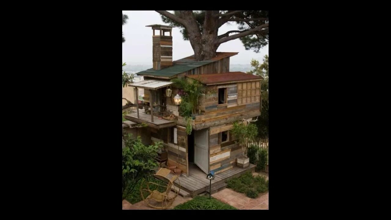 They built this house. How to make a Tree House. Baby we built this House. A Tree House is not a Fixture.
