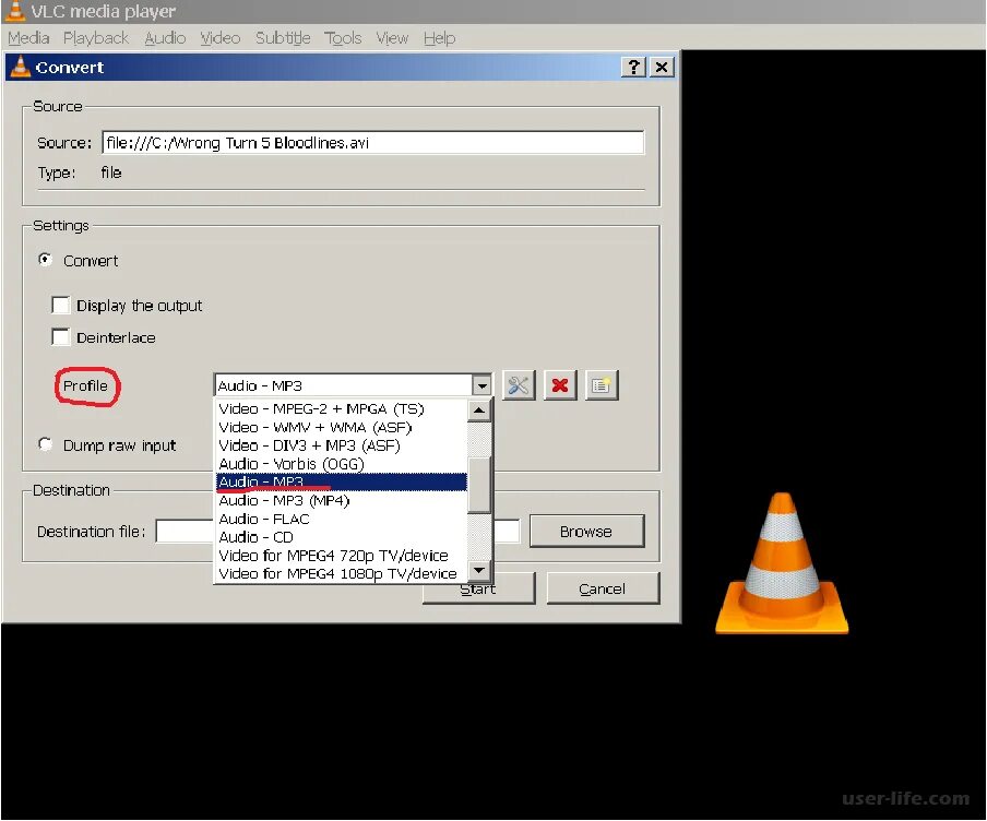 VLC Media Player. Программа VLC. VLC (медиаплеер). Картинка VLC Media Player. Vlc player русская версия