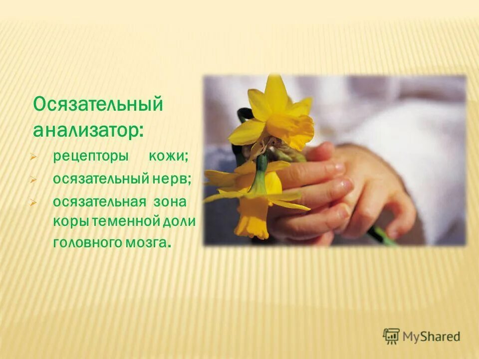 осязание это чувство. ощущение осязание.