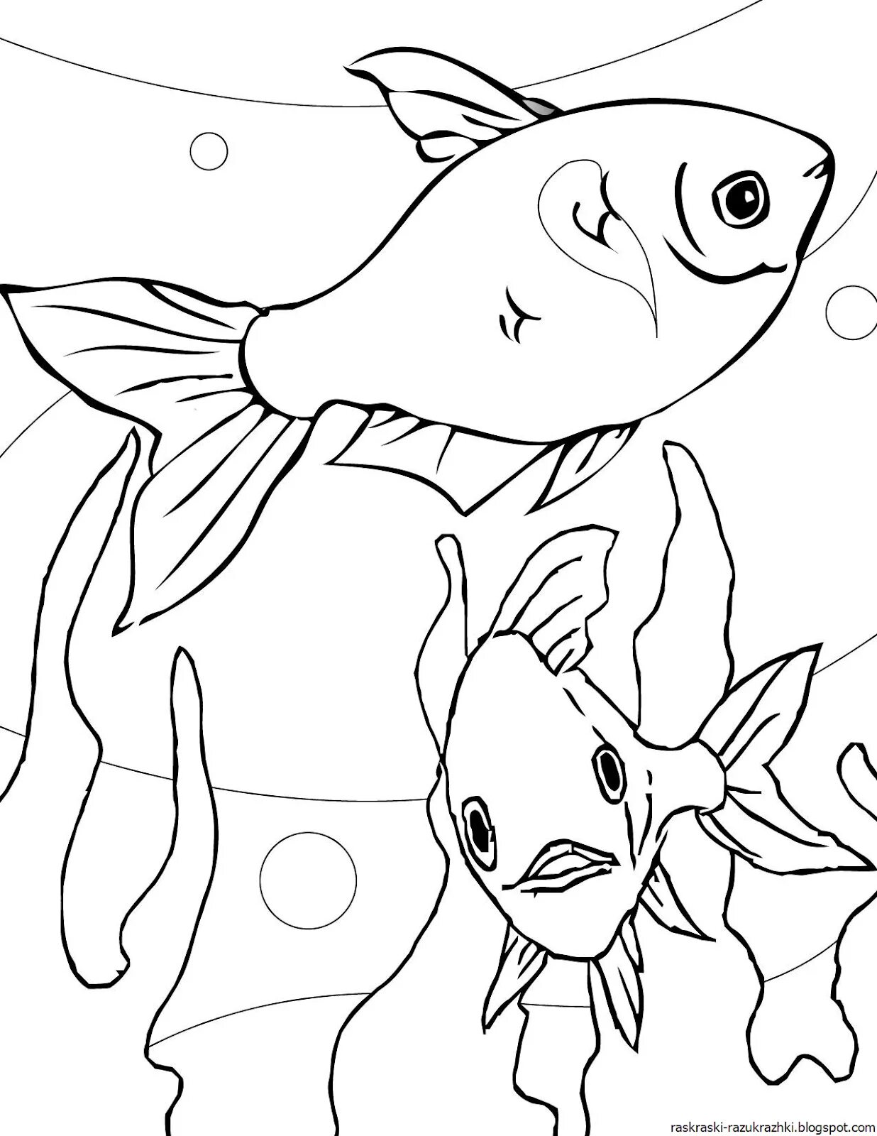 Раскраска рыбы для детей 6 лет. Раскраска рыбка. Аквариумные рыбки раскраска. Аквариумные рыбки раскраска для детей. Аквариумные рыбы раскраска.