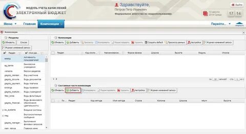 Внедрение подсистемы управления доходами электронный бюджет