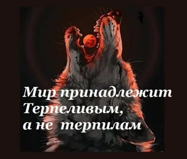 Как не быть терпилой