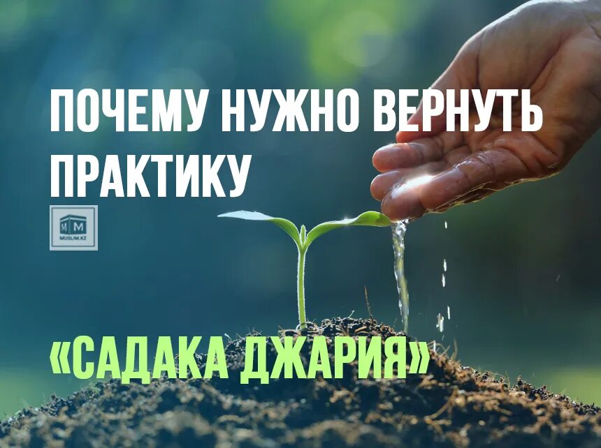 награды садака. награда за садака.