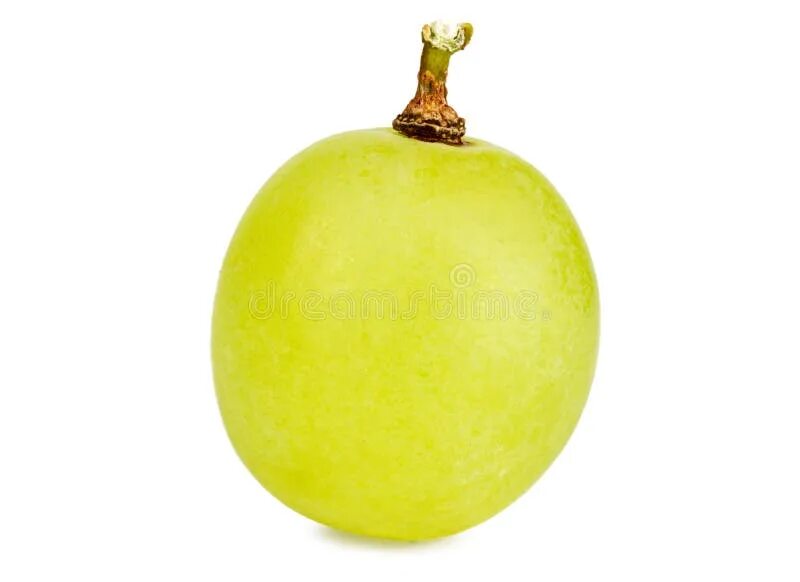 Grape 1