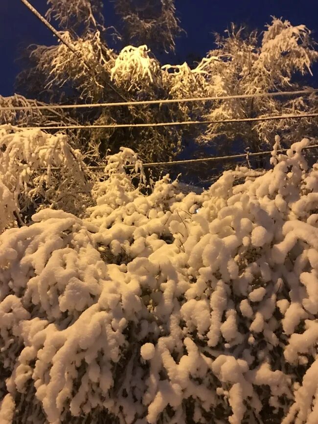 Собранный снег. Первый снег. фотографии 1 снег. фото года. snowfall weather.