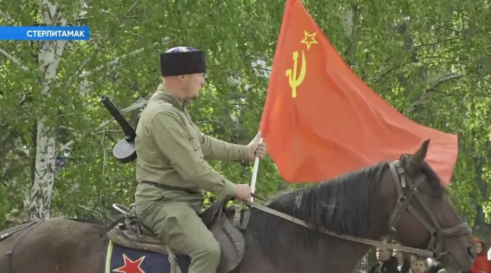 2 мая башкортостан. Лошади на параде победы. 9 мая в башкирии. день победы техника. 9 мая собаки.