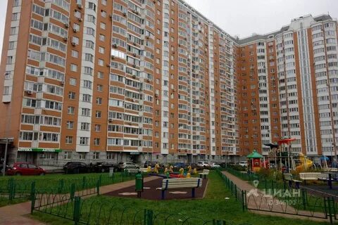 Циан некрасовка аренда