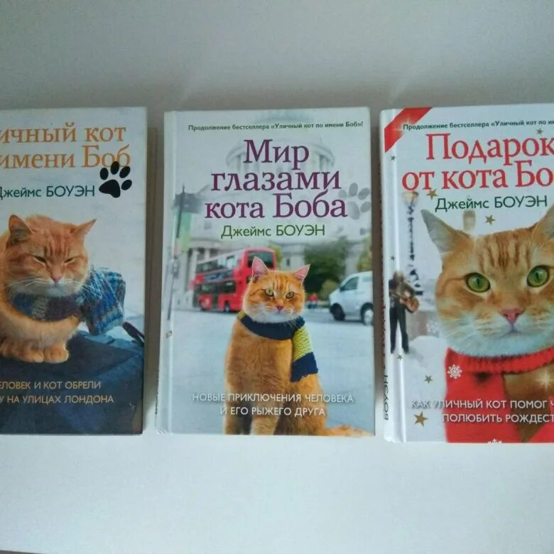 Книга про боба. Все книги про кота Боба. Уличный кот по имени Боб книга. Уличный кот по кличке Боб книга. Книги о коте Бобе.