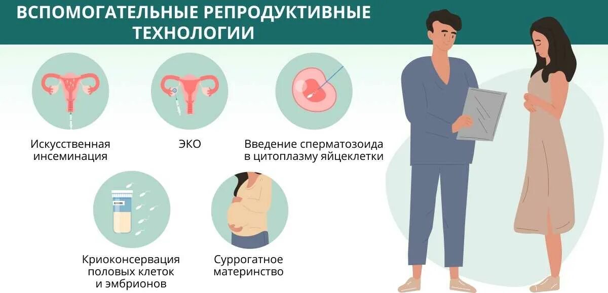 Можно забеременеть через рот. Вспомогательные репродуктивные технологии (ВРТ). Методы вспомогательных репродуктивных технологий. Методы ВРТ. Показания для вспомогательных репродуктивных технологий.