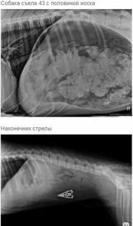 Половину съела