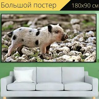 Поросенок е
