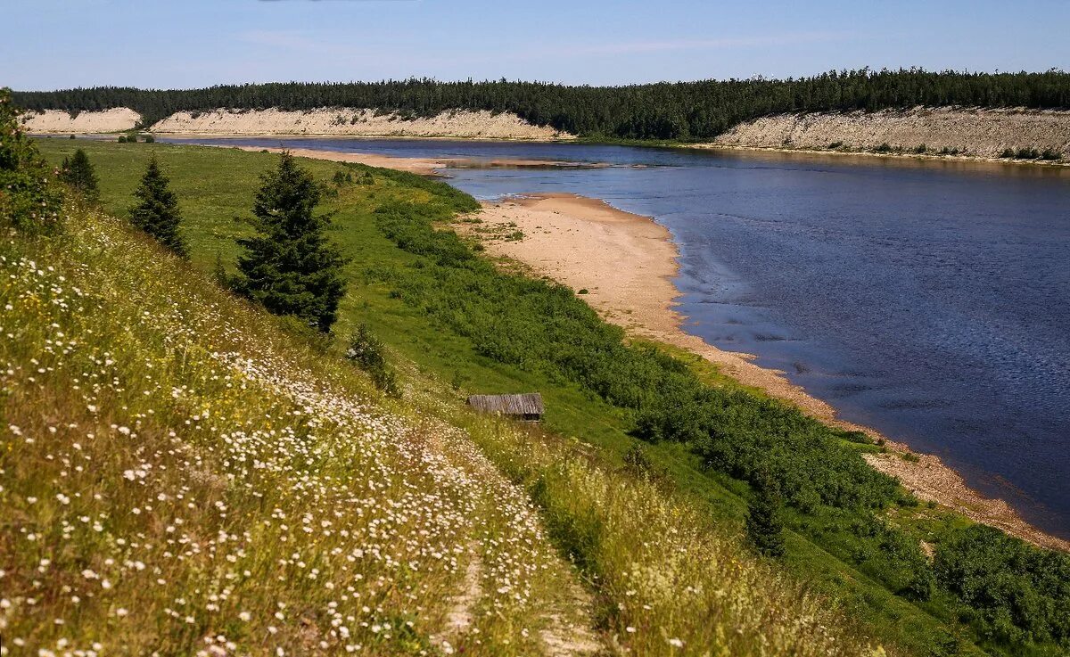 пиринемь пинежский район. храм в пинеге архангельской области. пинежский заповедник река пинега. село сура пинежский район архангельская область. архангельск природа река пинега.