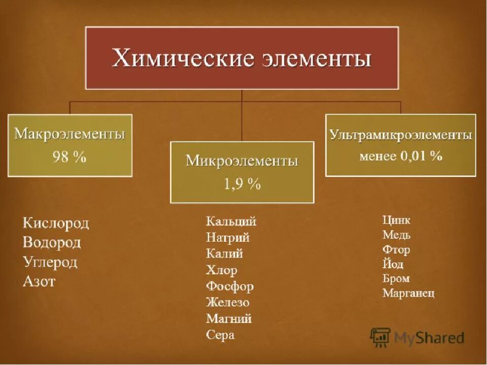 Макроэлементы микроэлементы и ультрамикроэлементы. Макроэлементы микроэлементы и ультрамикроэлементы таблица. Химические элементы макроэлементы и микроэлементы. Макроэлементы микроэлементы и ультрамикроэлементы схема. Группы химических элементов клетки