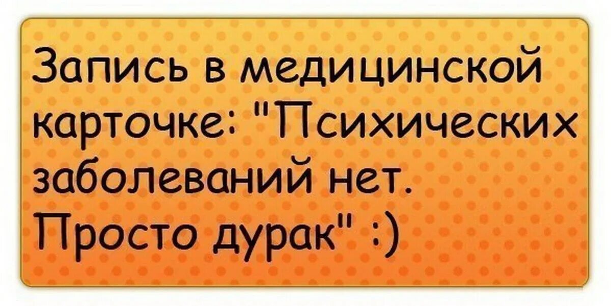 Ничто так не украшает. Анекдоты про дураков. ₽сказывания про дураков. Смешные цитаты про дураков. Высказывания о дураках.