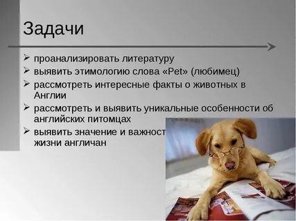 Все слова на пет